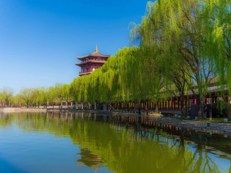 Spring in Xi'an
