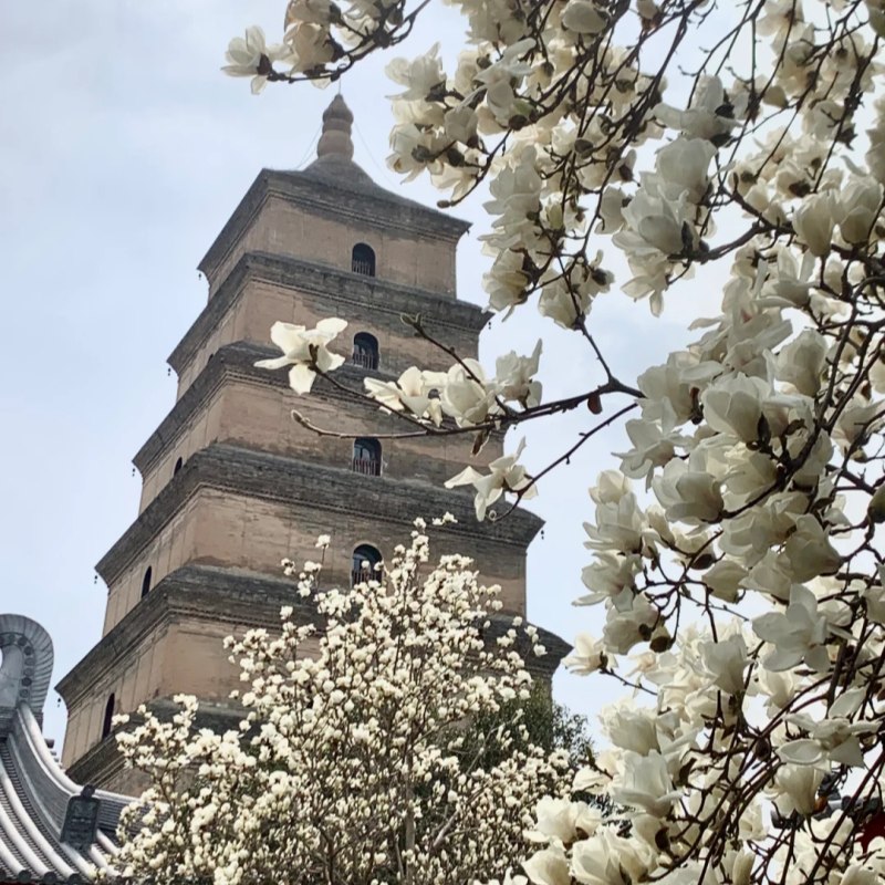 Small Wild Goose Pagoda