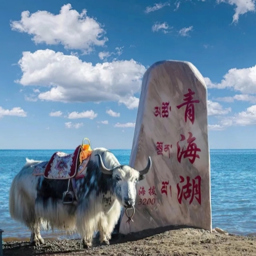 Qinghai Lake
