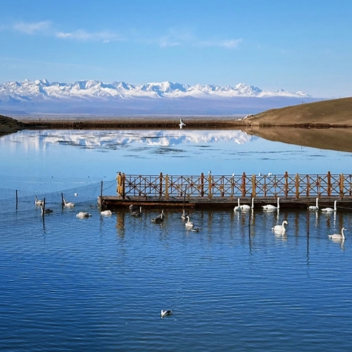 Swan Lake at Bayanbulak