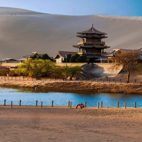 Wander Through the Desert Oasis