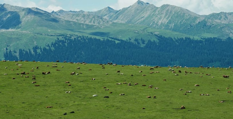 Best time to visit Silk Road
