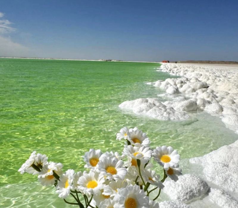 Chaka Salt Lake