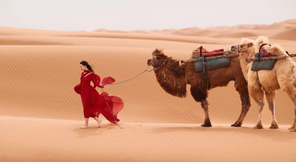 Desert camel trekking in the Taklamakan Desert
