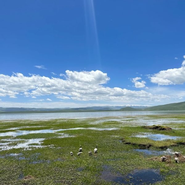 Gahai Lake