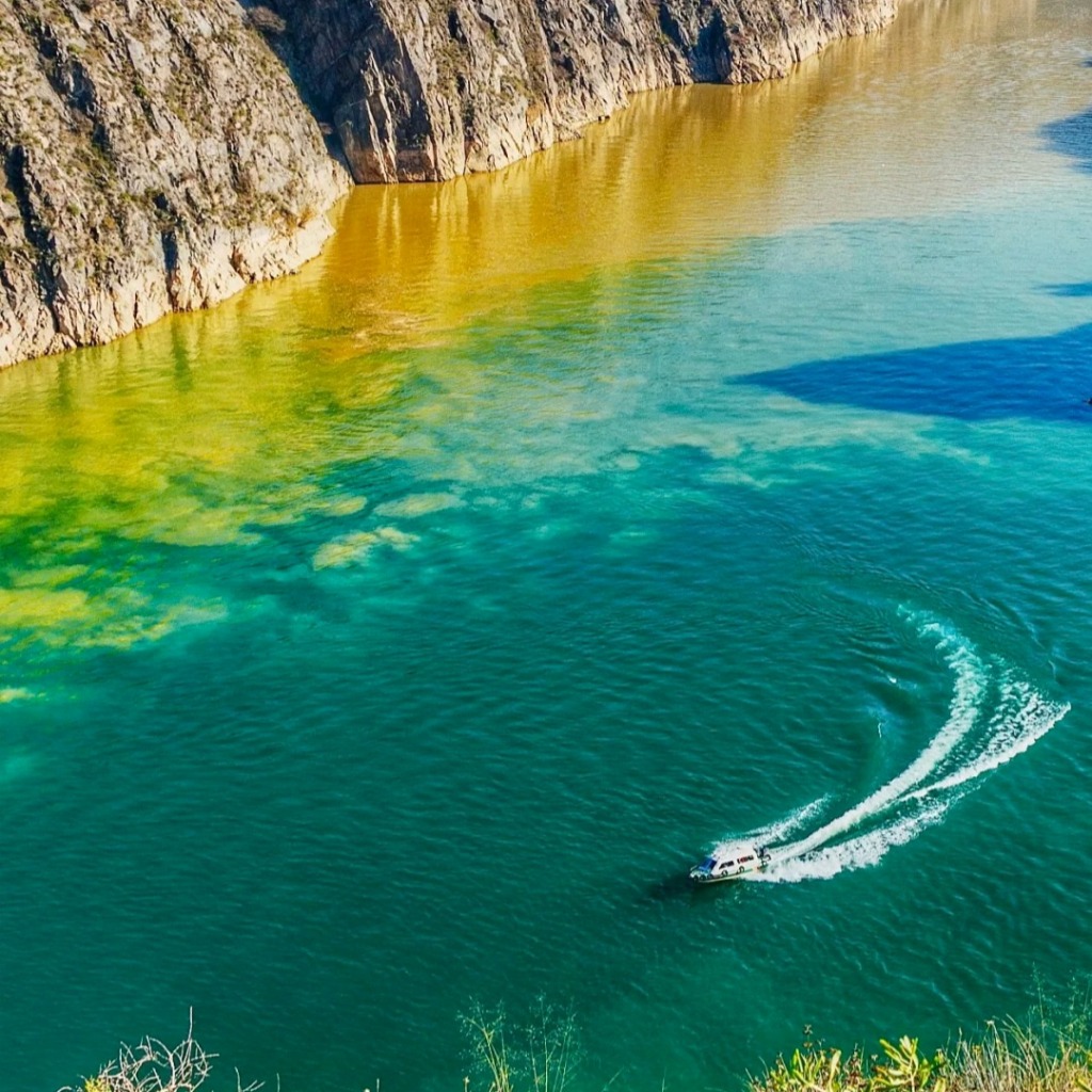 Gansu Summer