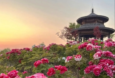 Luoyang Best Months