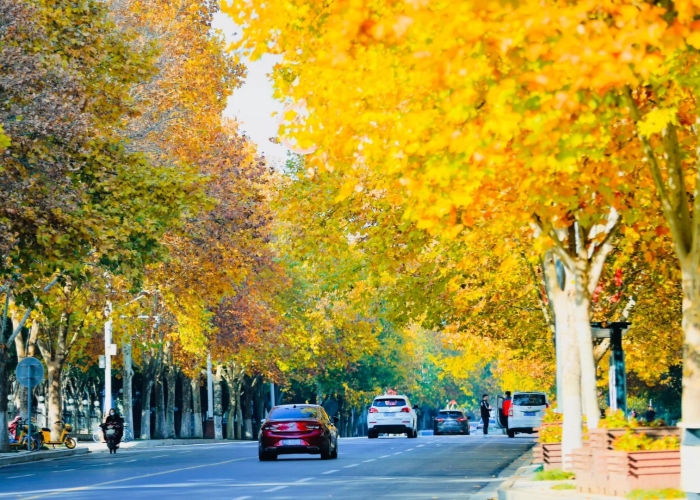 Luoyang in Autumn