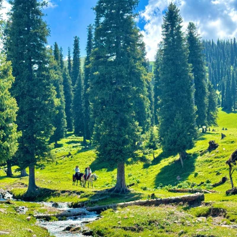 Nalati Grassland