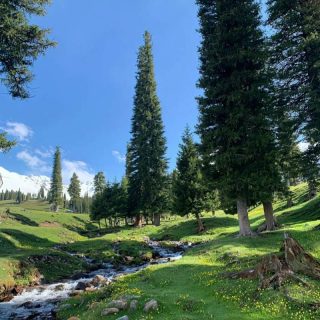 Nalati Grassland