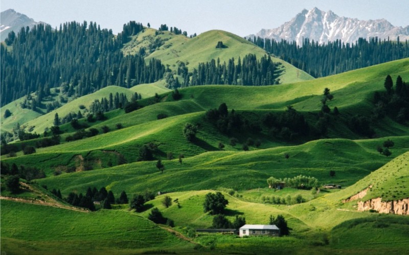 Nalati Grassland Xinjiang