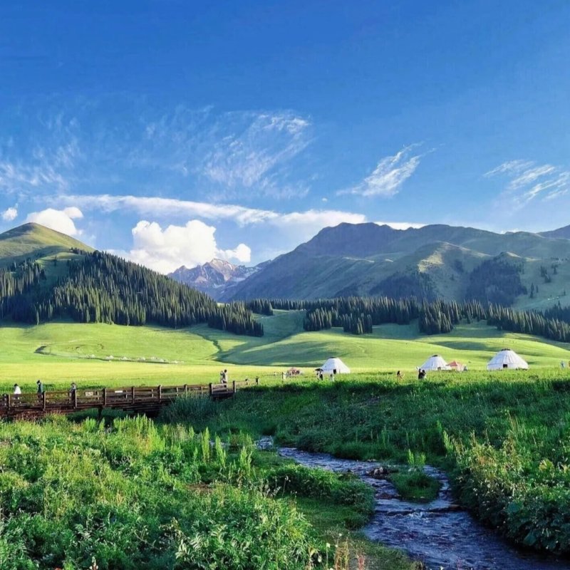 Nalati Grassland