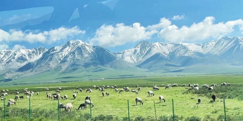 Qilian Mountain