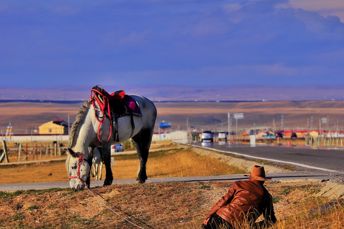 Qinghai Hotels Recommended
