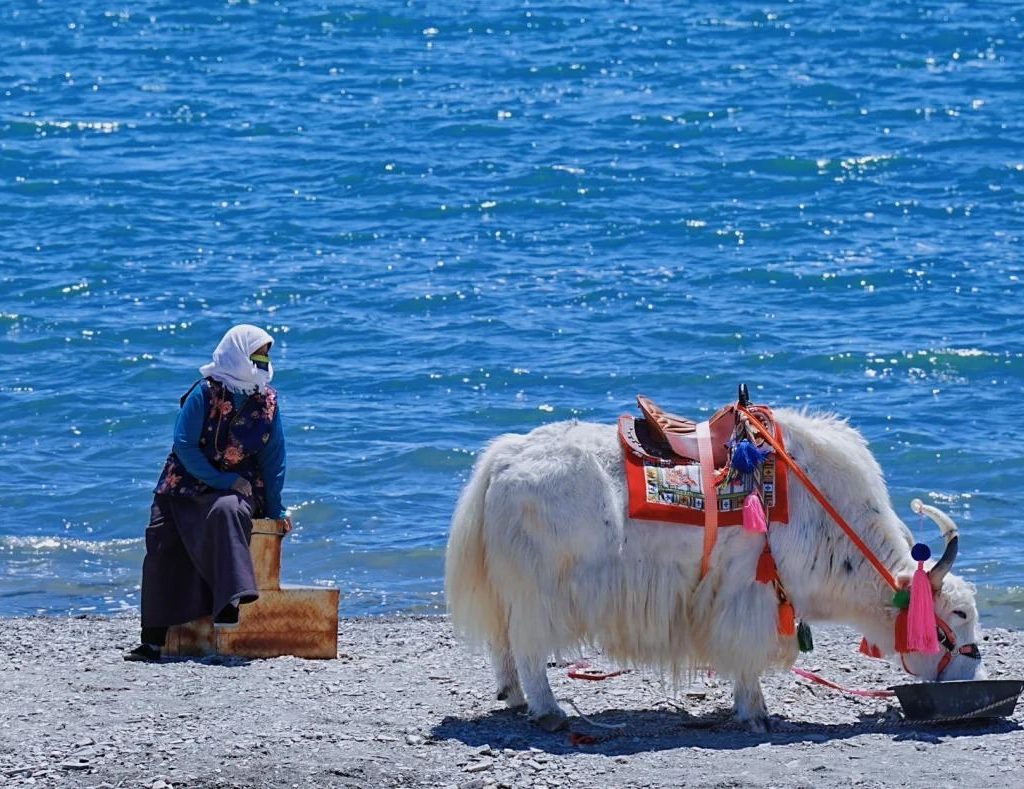 Qinghai Lake