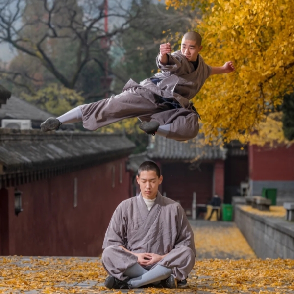 Shaolin Temple Kung Fu