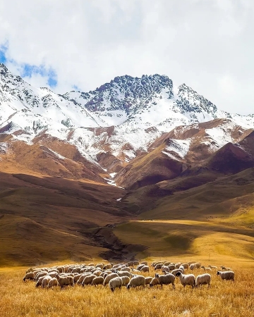 Silk Road Tours Image