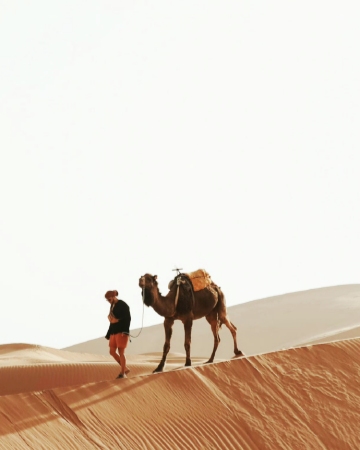 Silk Road Tours Image