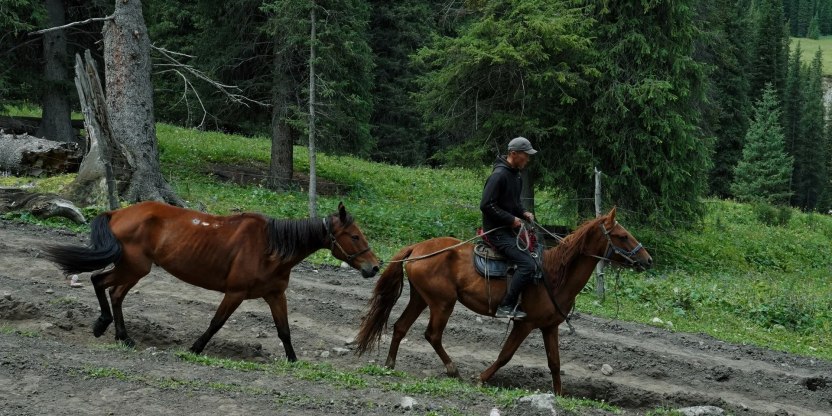 Silk Road Travel Tips