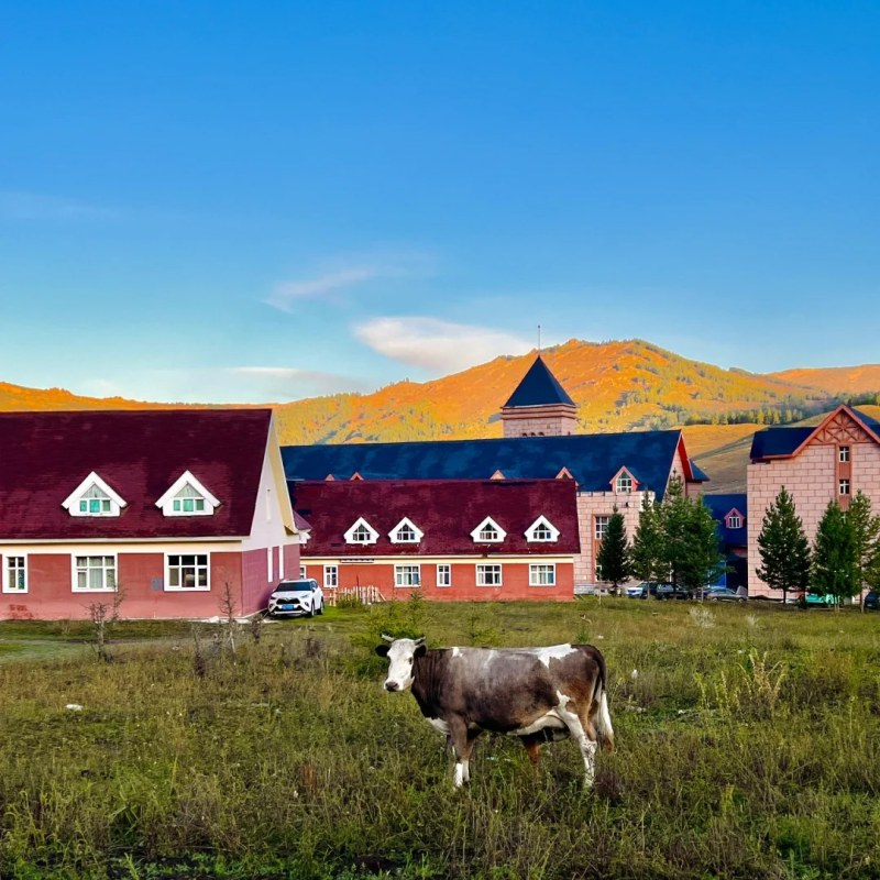 Xinjiang Jiadengyu
