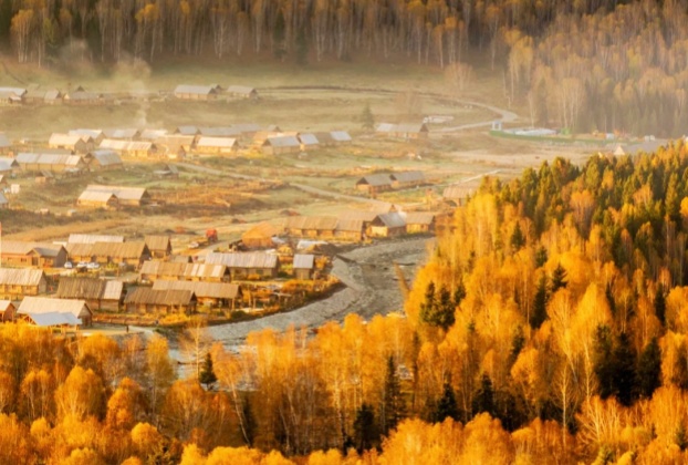Xinjiang Kanas Autumn