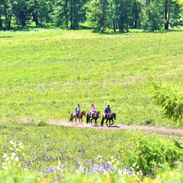 Xinjiang Kanas