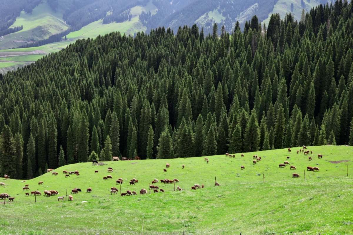 Xinjiang attractions