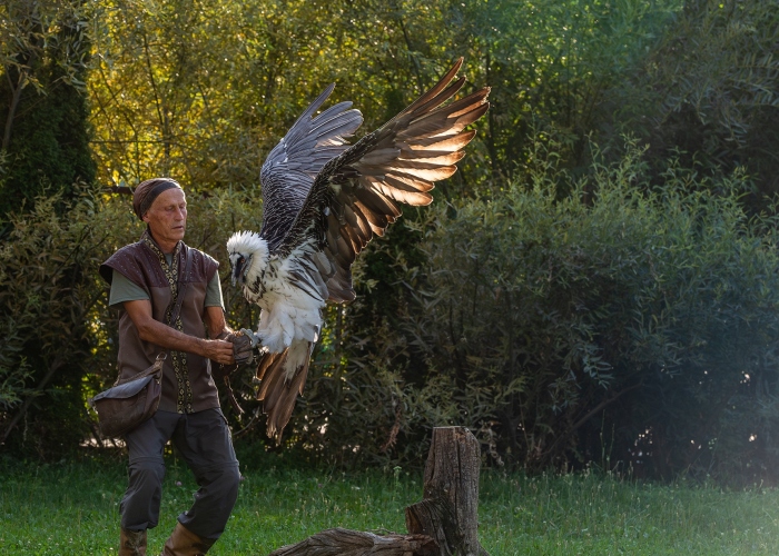 eagle hunting