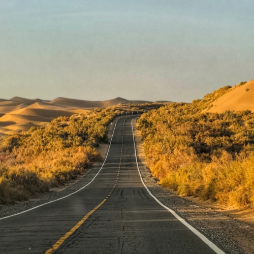 road trip across the Taklamakan Desert